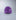 Purple Flash/White